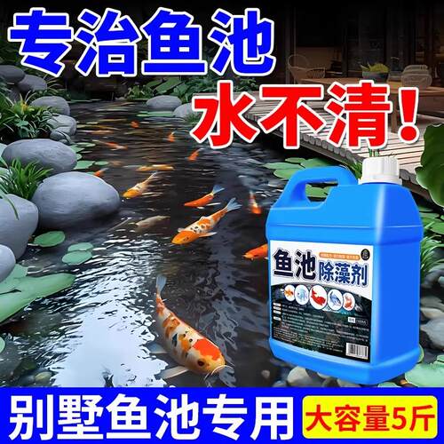 鱼缸除藻剂绿水池绿藻H2602080青浮萍藻除垢苔高效除藻不伤鱼剂鱼