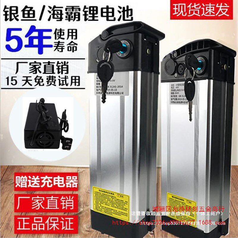 速发电动车48v锂单电车电瓶代驾折叠车银鱼a霸通用10AH20海h