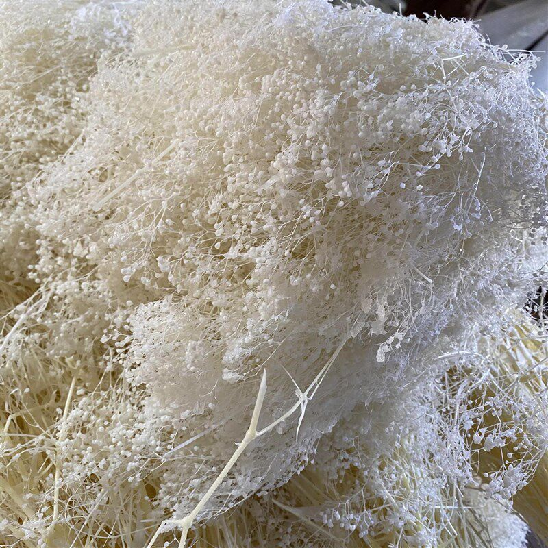 速发永生花百星小满天花装饰星束瑕草霞薰香草材料干花