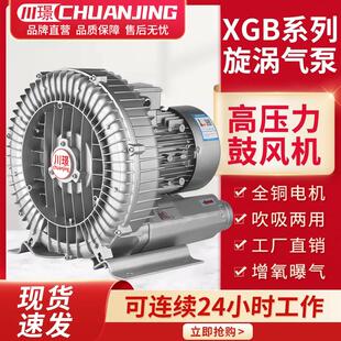 XGB高压漩涡式气泵增氧380v罗茨涡轮220大功率强力吸吹旋涡鼓风机