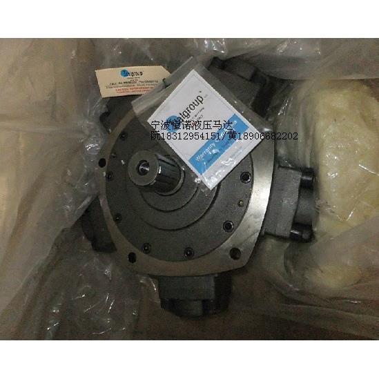 NHM11-1200佳木斯135星轮马达