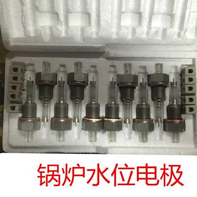 锅炉水位计液位电极螺纹电极 DJM DJY DSW-1水位传感器1815-87