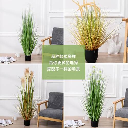 北欧仿真植物芦苇草绿盆栽 客厅装饰摆件狗尾草植物假草盆景芦苇