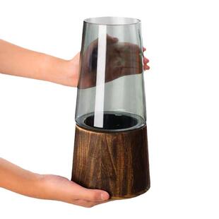 雪柳花瓶玻璃透明高款插花长枝雪柳专用干枝干支雪柳鲜枝插雪柳瓶