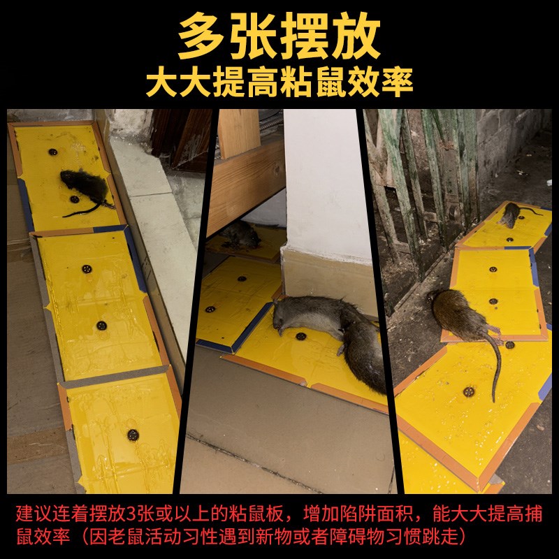 大号粘鼠板老鼠贴强力粘大老鼠胶家用灭抓捕鼠神器耗子粘板扑捉器