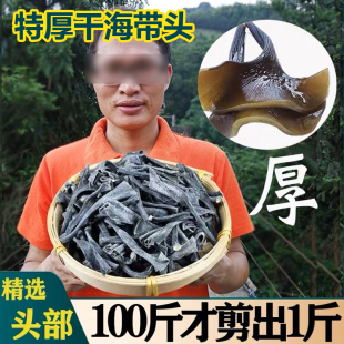福建霞浦特产手工日晒海带头干货厚实海带根特厚优质海带梗高泡发