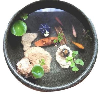 陶瓷鱼缸65556291客厅小型态家桌面用法生养鱼盆睡莲盆古缸观背青