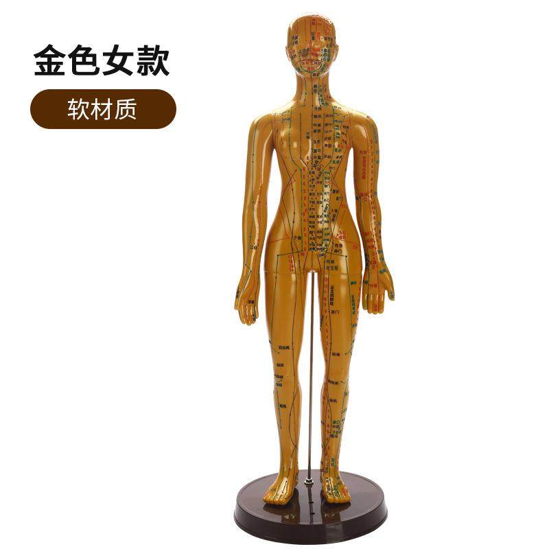 中医针灸穴位图人体模型男女全身十二经络小皮人高清可扎针人模,文具电教/文化用品/商务用品,教学标本/模型,淘宝优惠券,粉丝福利购,淘宝优惠卷