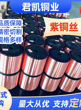 T1T2紫铜丝退火铜线TU1TU00紫铜丝C1100工业机械镀锡红铜丝