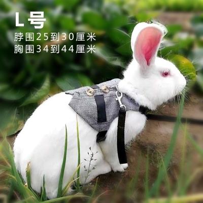 现货牵引带加长小型中型简易遛猫遛弯兔绳溜兔绳兔子牵引绳卡通小