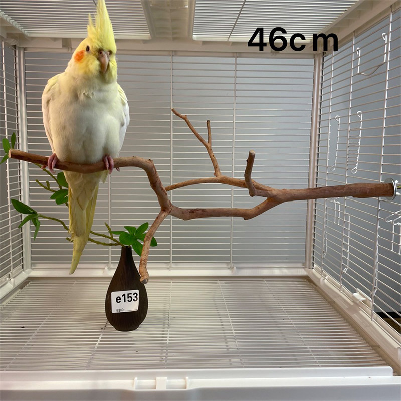 鹦鹉鸟站杆玩具啃咬磨嘴磨牙