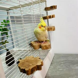 原木鹦鹉跳台牡丹站台鸟笼休息台仓鼠龙猫站台啃咬磨牙玩具栖木