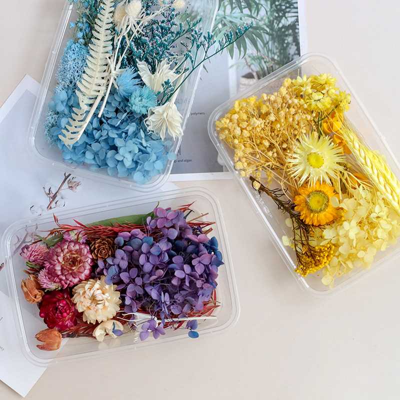 好货美沐儿 混合装diy手作装饰永生花干花套餐材料 diy相框花材压