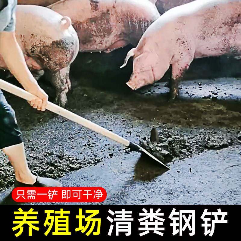极速粪铲粪锹猪粪鸡粪鸽子清洁推粪猪屎刮粪神器养殖场清草地清理