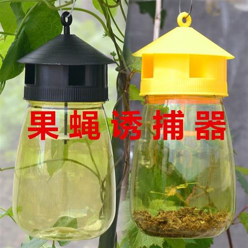 极速果蝇诱捕器果园菜地瓜果实蝇针蜂 果蝇引诱剂内含捕抓器诱剂