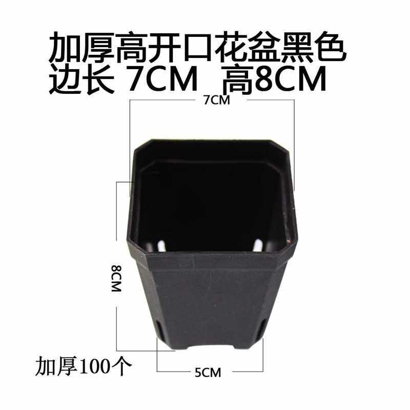 极速多肉种植万象花盆小方育苗杯塑料小黑方6/7cm100个加厚款 包