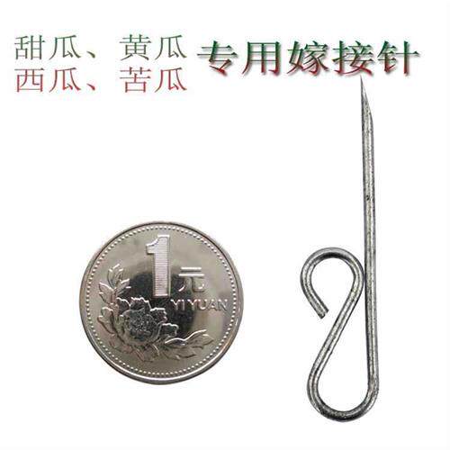 极速甜瓜黄瓜西瓜苦瓜育苗专用嫁接针不锈钢手工工具蔬菜嫁接刀嫁