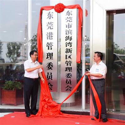 开业揭牌仪式红布招牌红布花球大红色绸布布料牌匾揭幕红布道具套