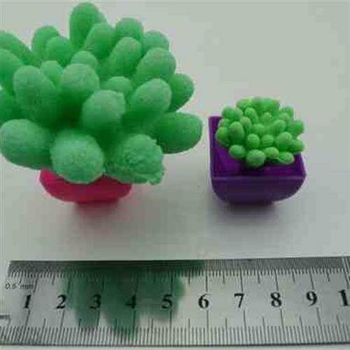 极速48入彩色仿真膨胀盆栽植物泡大仙人掌仙人球儿童泡水膨胀模仿