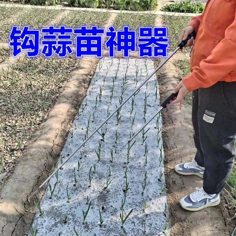 极速种蒜神器种大蒜神器大蒜打眼神器菜苗育苗盘豆芽发芽盆神器蒜