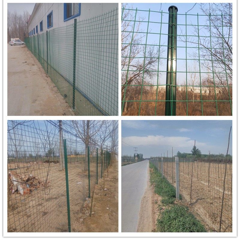好货硬塑荷兰网铁丝网围栏养殖网养鸡网栅栏护栏防护网钢丝网隔离