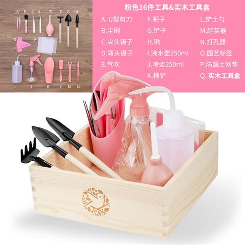 极速多肉工具套装专用植物角种植组合养花肉肉幼儿园园艺家用种花