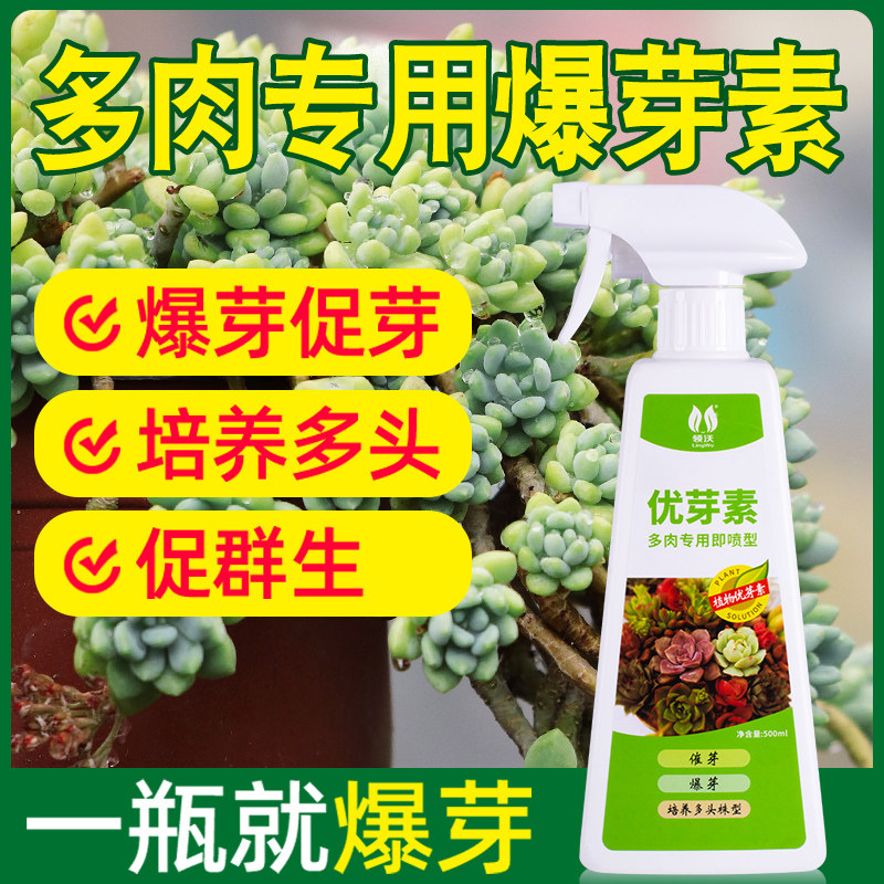 极速优芽素多肉专用促多头侧芽细胞分裂素促芽促生长催芽矮胖素爆