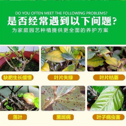 极速包邮栀子花营养液酸性肥料硫酸亚铁改善土壤栀子专用肥栀子花