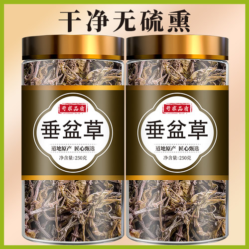 垂盆草中药500g食用正品泡茶中药材批发市场泡水批发干垂盆草作用