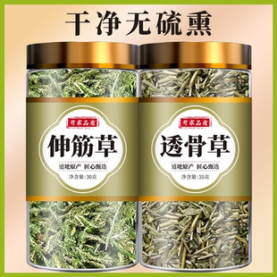 伸筋草透骨草中药材组合枸皮草珍珠舒筋草新鲜外洗外敷泡脚茶包