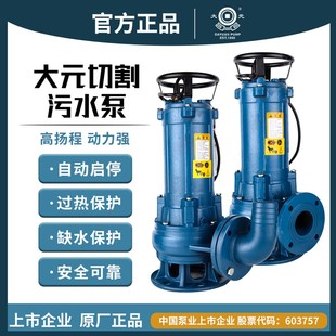 切割式 浙江大元 污水泵卫生间生活工业废水化粪池养猪鸡场排污380V