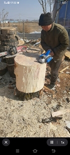 柳木菜墩实木菜板整木加厚肉墩家用菜墩子剁肉剁骨砧板案板切菜板