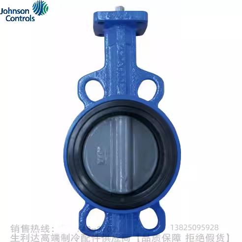 Johnson Controls/江森蝶阀 VF6461AA/BA/CA/DA-C规格DN20 DN50