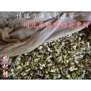 农村情今年农家新绿豆 发绿豆芽无农药化肥煮绿豆汤500克