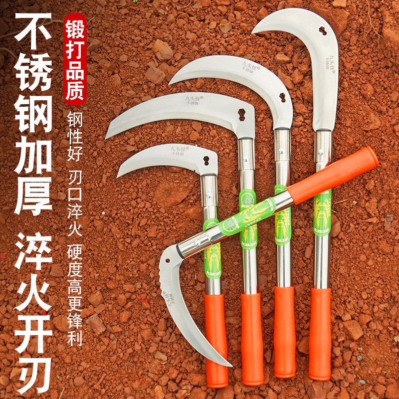 农用长柄割草镰刀收割麦子图片