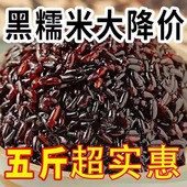 黑血糯米黑糯米粘糯粽子专用糯米煮粥紫糯米东北酿酒血糯米商用