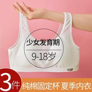 少女内衣二三阶段初高中学生纯棉运动背心青春期女孩发育文胸 夏季