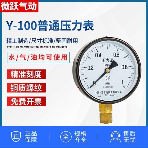 Y-100径向压力表 1MPa水压气压测量 温州制雷尔达压力仪表