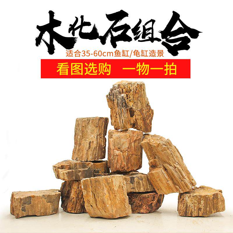 鱼缸造景木化石套餐天然原石装饰摆件龟缸躲避洞草缸大块原生石头