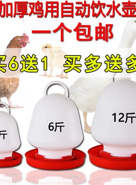 大号鸡饮水器家禽自动加水器水壶水槽食槽料桶水桶鸭鹅鸽子喂水器