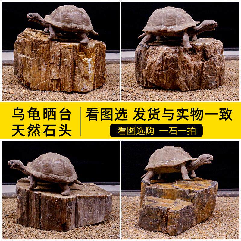 乌龟缸爬台石头大号深水龟缸造景鱼缸晒台石养乌龟专用石头晒龟台