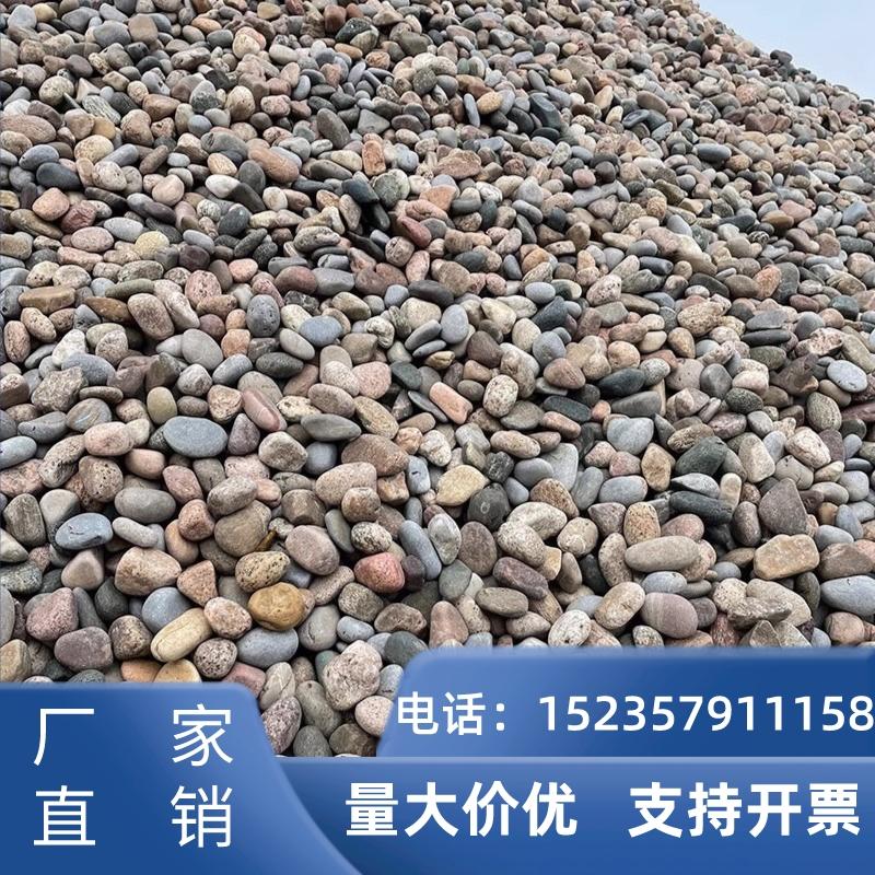 广东工程鹅卵石天然原石花园变压器铺路铺地造景大号河卵石滤料石