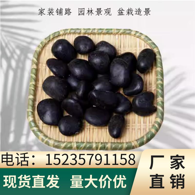 重庆黑色精抛鹅卵石黑石子造景小石头铺地铺面石盆栽多肉装饰鱼缸