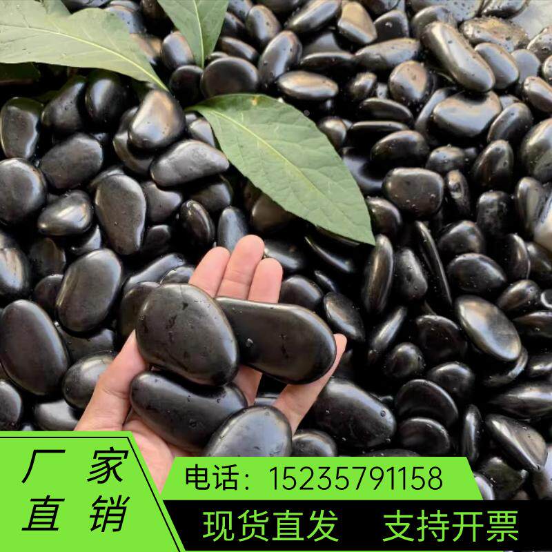 广西黑鹅卵石园艺花盆栽石鱼缸造景石阳台庭院装饰黑石头铺路石头