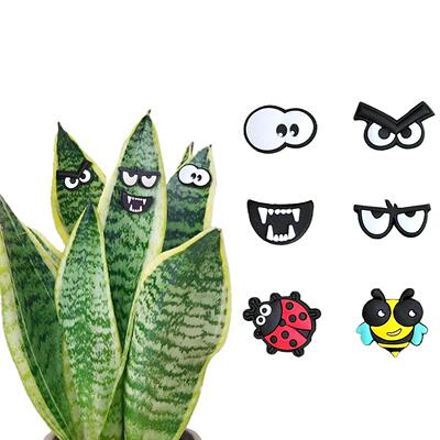 Cute Plant Magnets Eyes可爱的植物磁铁眼睛昆虫磁吸装饰