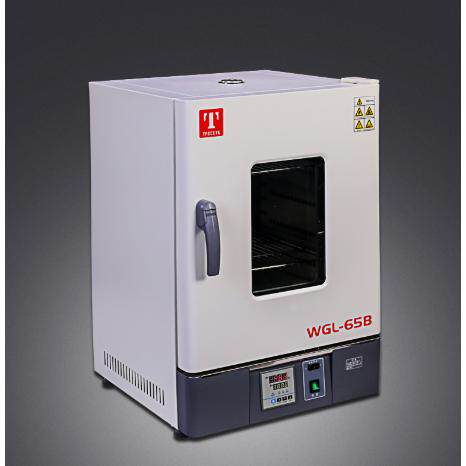 WHLL-45BE 电热恒温干燥箱天津泰斯特烘烤箱WHL-45L 高温老化箱