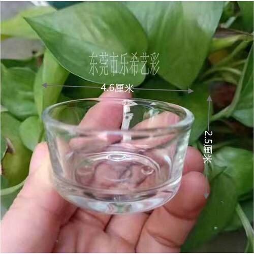爬虫透明玻璃食盆水盆喝水碗菜盘蜥蜴蛇蜘蛛守宫乌龟蝎子蜈蚣蟋蟀