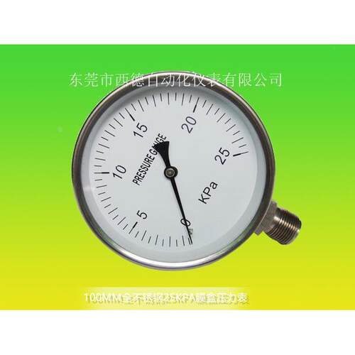 100MM 径向25KPA全不锈钢膜盒压力表,全不锈钢耐高温膜盒压力表,