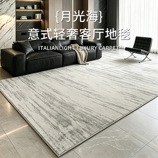 2026新款免洗地毯客厅简约风轻奢高级现代加厚沙发地垫卧室床边毯