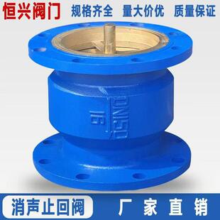 HC41X-16法兰消音止回阀 单向逆止阀DN40 50 65 80 100 150 200